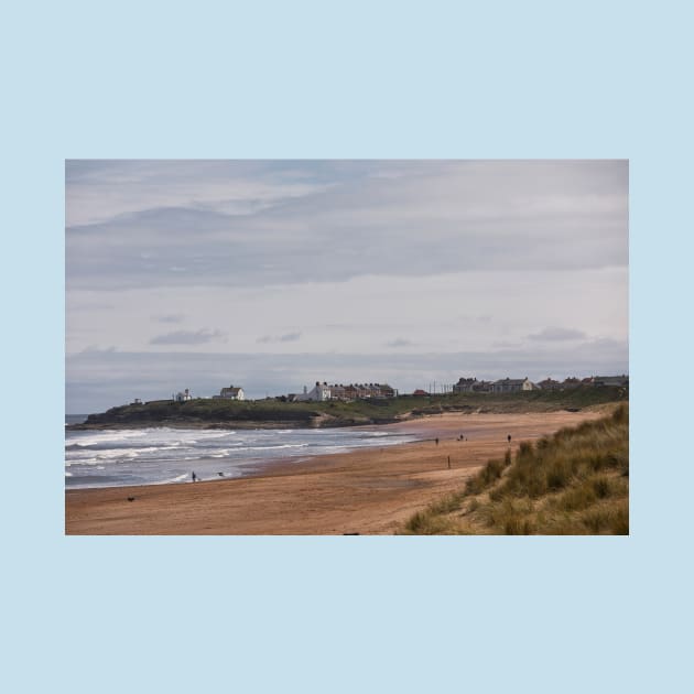 Spring Sunshine at Seaton Sluice (2) by Violaman