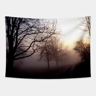 Winters Landscape Tapestry