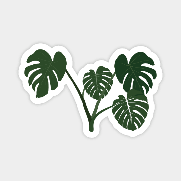 Monstera deliciosa Magnet by daidai