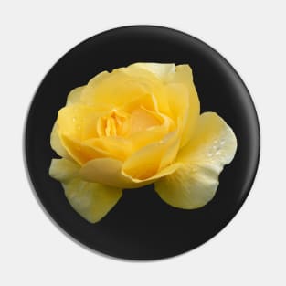 Pretty Yellow Rose with Raindrops Pin