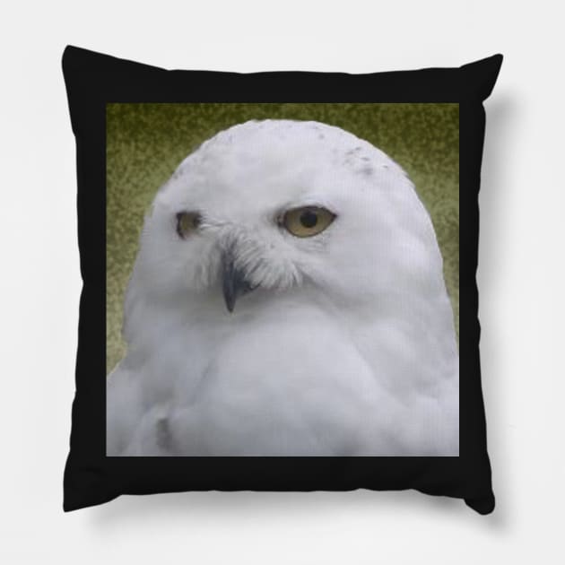 Snowy Owl Pillow by jalfc46