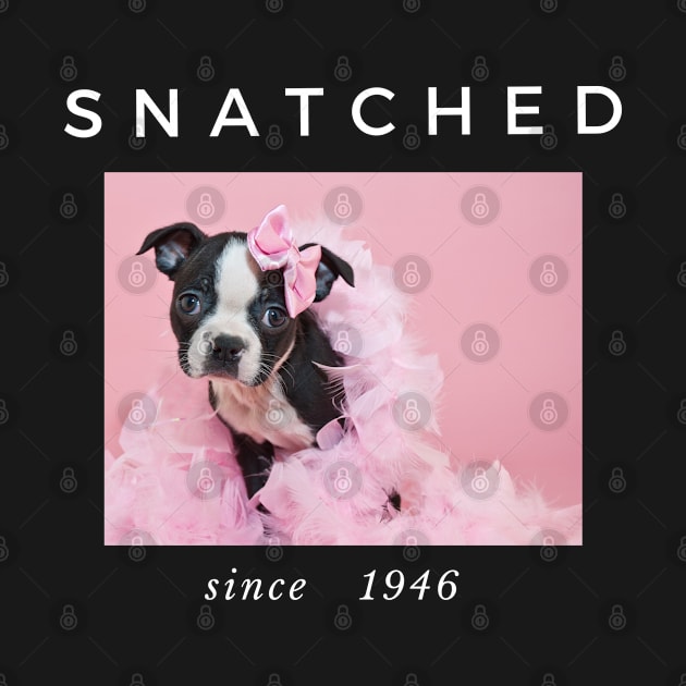 1946 Millennial Snatched Boston Terrier Dog Lover by familycuteycom