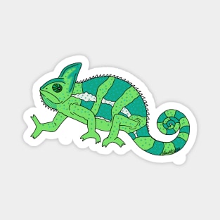Chameleon Magnet