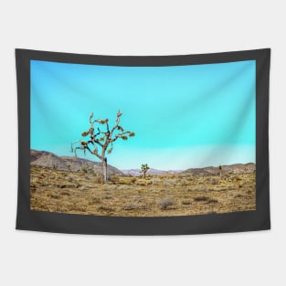 Joshua Tree National Park, California Tapestry