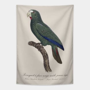 Cuban Amazon Parrot Juvenile Male / Le Perroquet a Face Rouge Male, Jeune Age - 19th century Jacques Barraband Illustration Tapestry