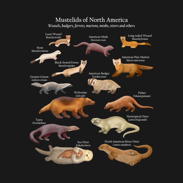 Mustelids of North America: Weasels, Otters, and Others by ELMayer