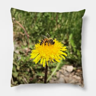 Bumblebee on Dandelion in the Springtime Pillow