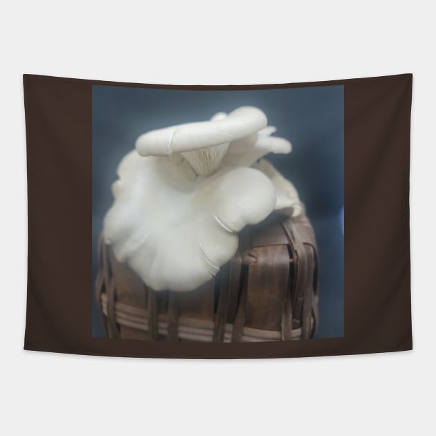 Oyster Mushroom Tapestry by World Harvest