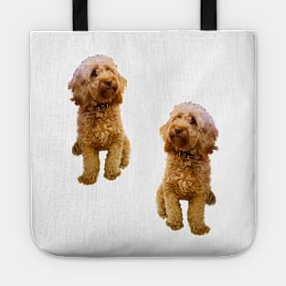 Cavapoo Cavoodle puppy pattern- cute cavalier king charles spaniel Tote