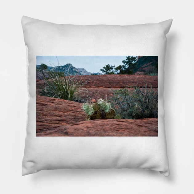 Sedona Cactus Pillow by KirtTisdale