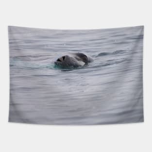 SNEEKY SEAL SWIMMING Tapestry