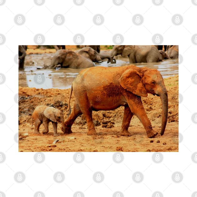 African Wildlife Photography Elephant Mother and Calf by PathblazerStudios