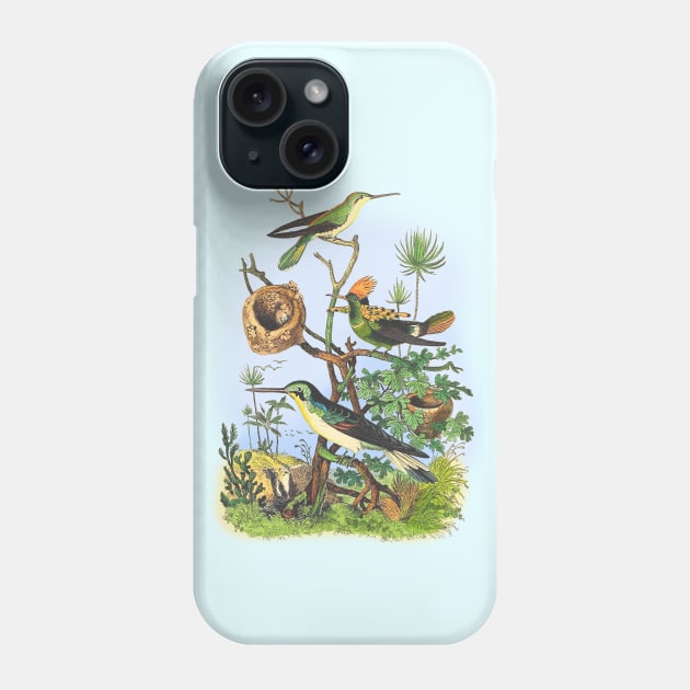 BIRDS Wildlife Illustration Phone Case by Biophilia