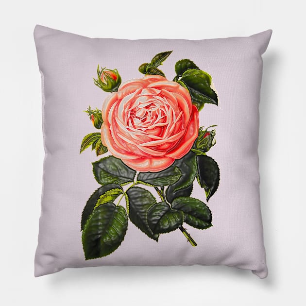 rosebud with green leaves Pillow by Marccelus