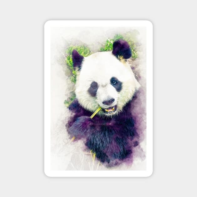 Panda Bear Animal Wild Forest Jungle China Bamboo Nature Asia World Earth Magnet by Cubebox