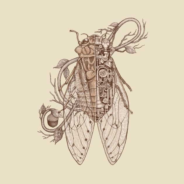 cicada by makapa