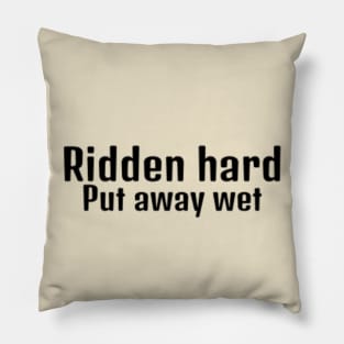 Ridden Hard, put away wet Pillow