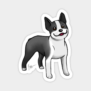 Dog - Boston Terrier - Black Magnet