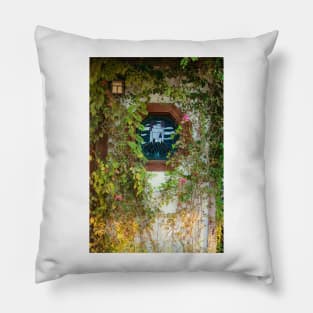 Stained Glass III Pillow