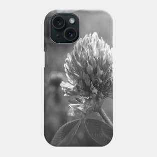 Petals in Sunlight Capture Red Clover's Elegance V4 Phone Case