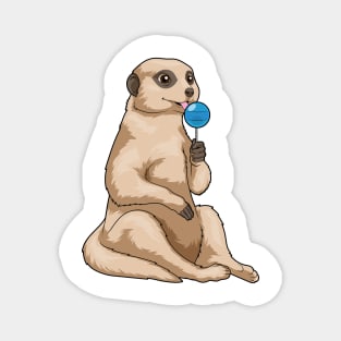 Meerkat Lollipop Magnet