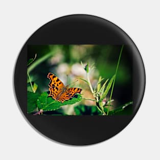 Comma Butterfly Pin