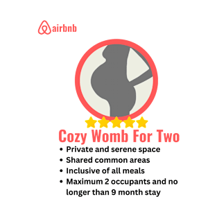 Airbnb Cozy Womb For Two Surrogate Mother Mother's Day Gift T-Shirt