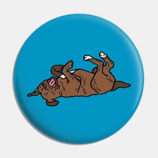 Staffy illustration Pin