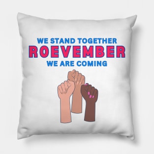 Roe Your Vote Roevember Abortion Rights Pillow