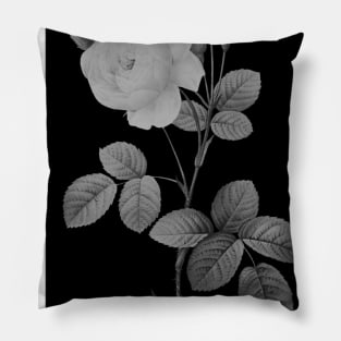 Mysterious rose Pillow