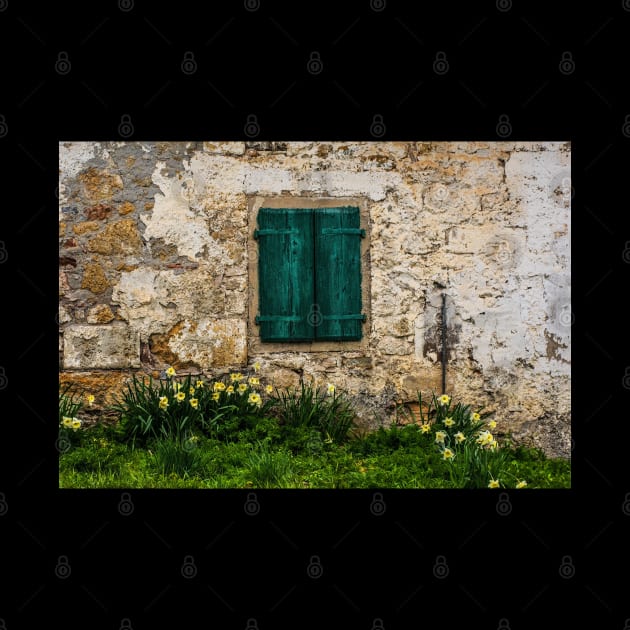 Green Shutter and Daffodils by jojobob