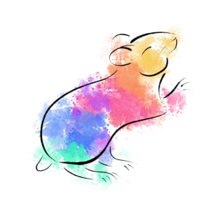 Rainbow Hamster T-Shirt