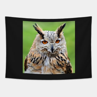 Eurasian Eagle Owl Tapestry