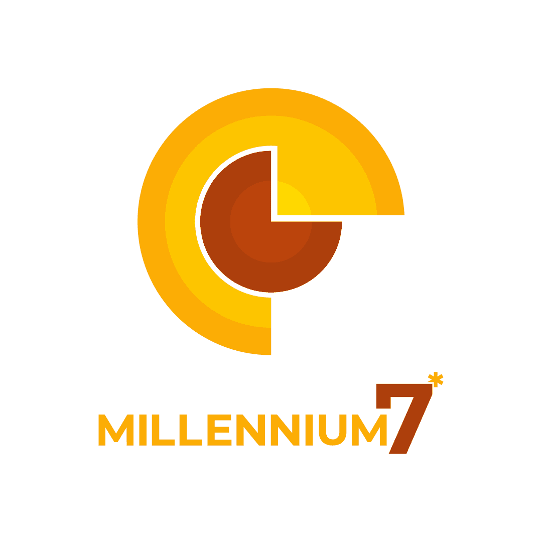 Millennium 7 Store profile image
