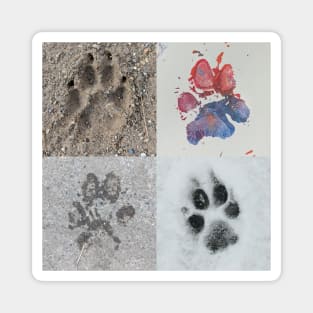 Paws of Art Magnet