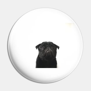 Hugo The Black Pug // Pin