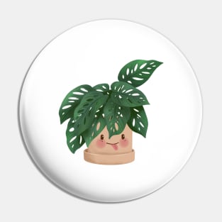 Cute Plant Illustration, Monstera Adansonii 2 Pin