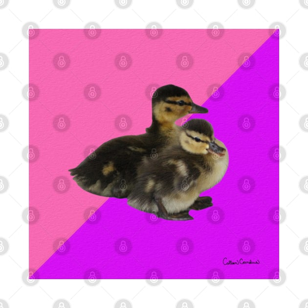 Baby Ducks on Pink Raspberry and Purple Sorbet by ButterflyInTheAttic