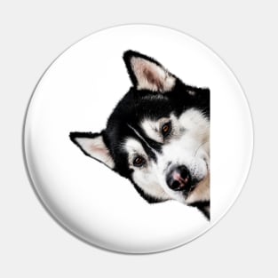 Malamute Peekaboo Pin