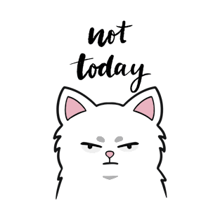 Not Today Kitty - Light T-Shirt