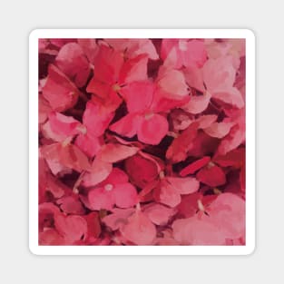 Pink Hydrangea Flower Painting Magnet