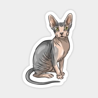 Cute Sphynx Cat Magnet