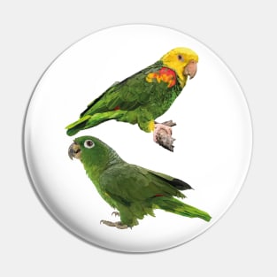 Parrots Pin