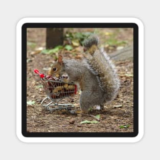 squirrel with shopping cart 6 Magnet