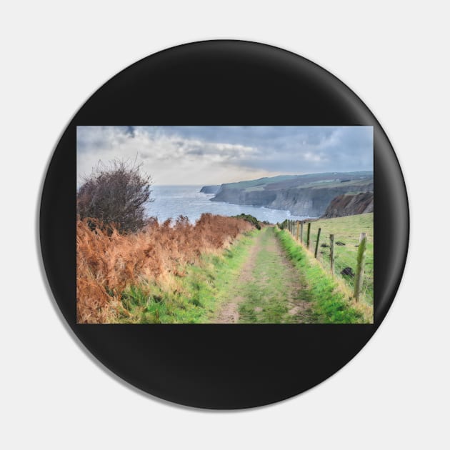 Cleveland Way North Yorkshire Coastline Art Print Pin by stuartchard