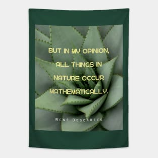 René Descartes portrait and quote: But in my opinion, all things in nature occur mathematically. Tapestry