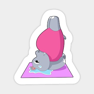 Hippo at Yoga Fitness Magnet