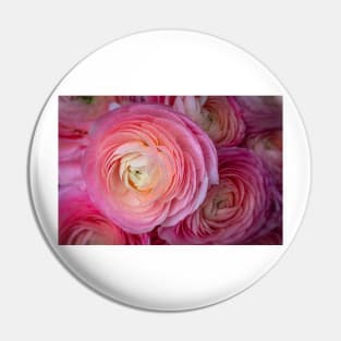 Pink Italian Ranunculus Pin