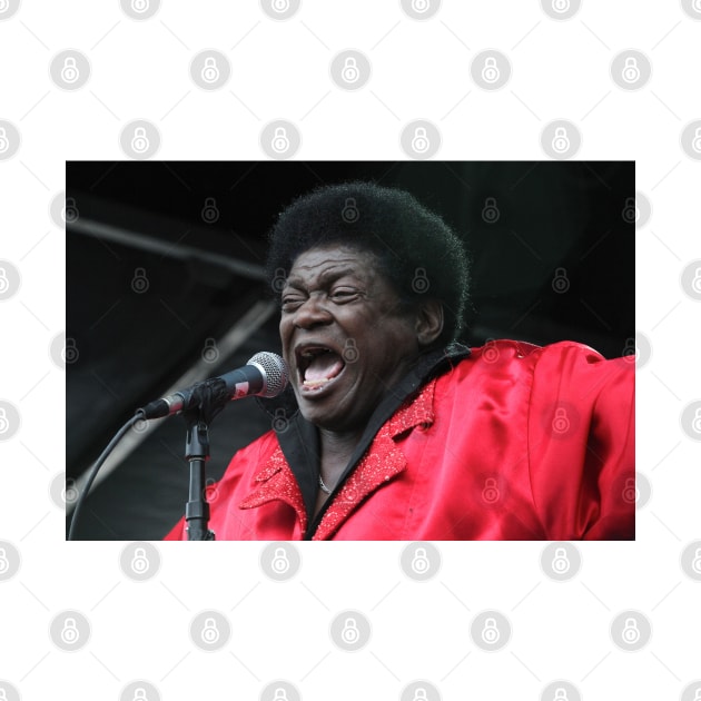Charles Bradley Photograph by Concert Photos