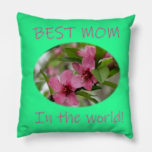 Gift for the Best MOM in the whole wide world! Pillow